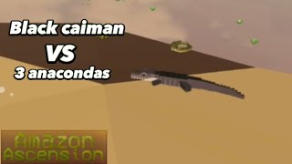 Black caiman vs 3 anacondas amazon ascension [upl. by Eslek]