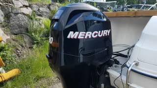 Mercury F80 EFI 2007 [upl. by Merchant]