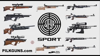 All Steyr Sports PCP Rifles 19 GUNS Full Steyr PCP LineUp Explained [upl. by Roshan933]