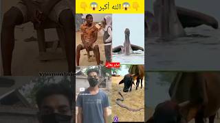 Mashallah ya rahman 😱😱 islamicstatus allhu respect duet youtubeshorts viralshort [upl. by Ayom]