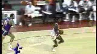 Top 10 All Time Dominique Wilkins Dunks [upl. by Annoyi]