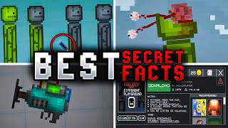 BEST SECRET FACTS IN MELON PLAYGROUND [upl. by Anayaran]