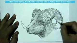 How to Draw a Ramgoat  YZArts  YZArts [upl. by Darren531]