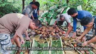 Pohnpei Breadfruit Video Part 1 of 3 [upl. by Nyasuh]