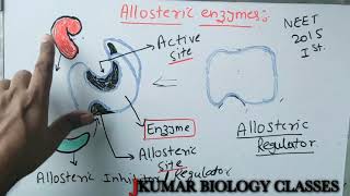 ALLOSTERIC ENZYME  ACTIVE SITE  ALLOSTERIC SITE  INHIBITORY SITE  ALLOSTERIC REGULATOR [upl. by Anaher]