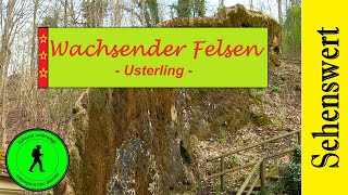 Naturwunder Wachsender Felsen bei Usterling Die größte Steinerne Rinne Deutschlands [upl. by Kathlene]