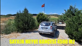 Denize Yakın Ana yola Cephe Satılık Meyve Bahçesi 4500 m2 Suyu içinde [upl. by Elamrej922]