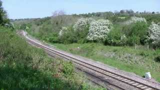 34046 Braunton at Sapperton amp Kemble 17514 [upl. by Ynalem409]