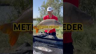 Method Feeder methodfeeder carpfish fishing karp feederfishing carp karpiarz [upl. by Cristionna]