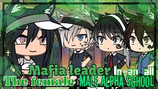 🐺The Female Mafia Leader In An All Male Alpha School 🏫 GLMM glmm Gacha Life Mini Movie [upl. by Wilmar300]