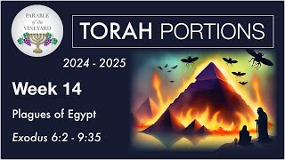 Torah Portion Week 14  Exodus 62  935 Plagues of EndTimes Egypt 2024  2025 [upl. by Jeffy406]