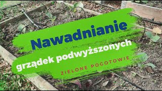 Jak nawadniam grządki podwyższone w warzywniku [upl. by Beekman]