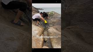 জল থেকে তাগড়া অক্টোপাস ও কাঁকড়া ধরি Catch octopuses and crabs from the water ytshots yt [upl. by Hedvige]