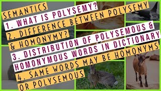 Semantics  What Is Polysemy  Difference Between Polysemy And Homonymy  Distribution In Dictionary [upl. by Chemar]