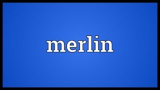 Merlin Meaning [upl. by Dietrich546]