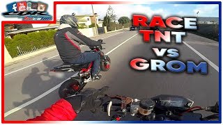 🏁 RACE Benelli TNT 125 vs Honda MSX GROM 125 🏆 [upl. by Ojadnama]