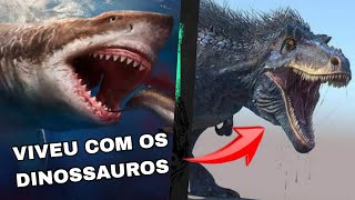 O Megalodon Viveu com os DINOSSAUROS [upl. by Baldridge]