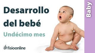 👶🏼Desarrollo del BEBÉ en su UNDÉCIMO mes de VIDA🚼 [upl. by Capriola65]