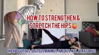 Hip abductor exercises Glute minimus medius TFL Sartorius hipexercise [upl. by Kcira]