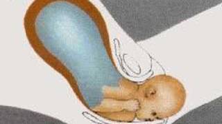 How the Body Works  Childbirth [upl. by Bilat]