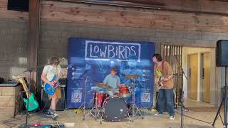 Santeria  Low Birds Live at Little Arrow Outdoor Resort May 2023 [upl. by Debby672]