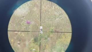 Diana 460 magnum 110 m 120 yards shooting [upl. by Nnarual]