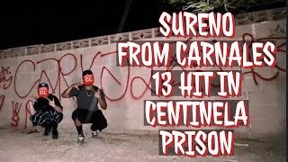 SURENO WENT TO PRISON FOR THESE CHARGES😳🫢AND WAS HIT IN CENTINELA PRISON trending crimestory [upl. by Zerelda]