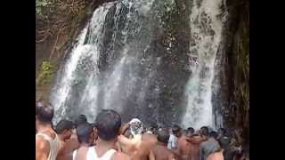 agathiyar aruvi agathiyar falls at papanasam [upl. by Yetsirhc102]