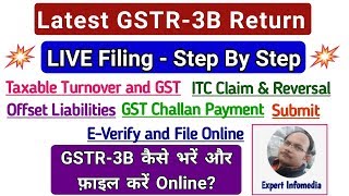 Latest GSTR 3B Return LIVE Filing Hindi Step By StepITC Offset Liabilities Challan Payment Everify [upl. by Hendrickson]