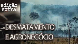 A relação entre o agronegócio e a degradação ambiental  Edição Extra  Dezembro 2019 [upl. by Spevek]