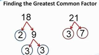 How to find the greatest common factor  from TutaPointcom [upl. by Kimura423]