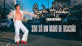 Janes Addiction  Strays Legendado em Português [upl. by Zetnahs]