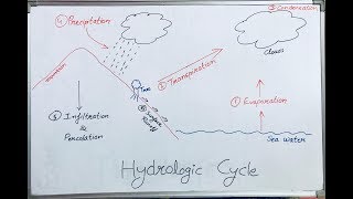 Hydrological Cycle Hindi Lecture I Water Cycle [upl. by Terr]