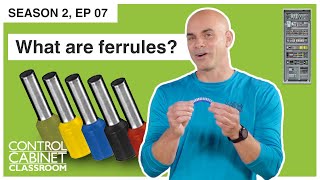 What are ferrules [upl. by Centeno]