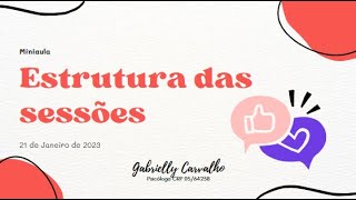 Estrutura das sessões em TCC [upl. by Notgnihsaw]