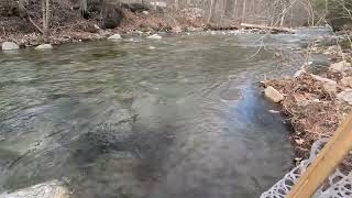 Guilford VT Brook Trout [upl. by Lehcsreh850]