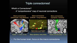 The Human Connectome Project Dr Jennifer Elam [upl. by Edrick275]