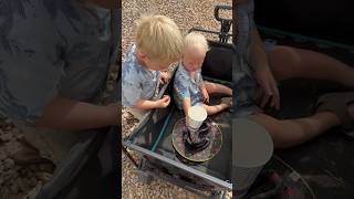 Catching a Baby Arizona Striped Whiptail lizard 🦎 [upl. by Horace140]