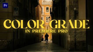 How To Color Grade Your Videos in Premiere Pro  How to use LUTS [upl. by Hamaso]