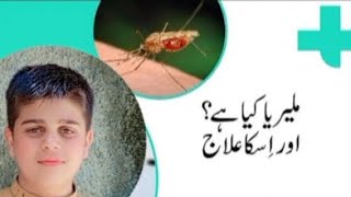 malaria fever symptoms and treatment  malaria ka ilaj [upl. by Demmahum]