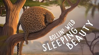 ROLLIN SAFARI  Sleeping Beauty  Official Trailer ITFS 2013 [upl. by Ariik]