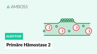 Primäre Hämostase  Teil 2  Physiologie und Medikamente  AMBOSS Auditor [upl. by Elia]