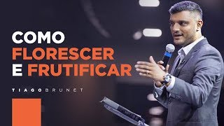 Tiago Brunet  Como Florescer e Frutificar na vida [upl. by Nap]