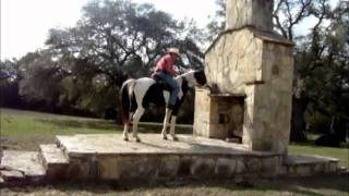 Tennessee WalkersSpotted Saddle Horses trail obstacle training [upl. by Backler900]