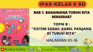 IPAS KELAS 6 BAB 1 TOPIK B  SISTEM SARAF PADA MANUSIA  KURIKULUM MERDEKA  HALAMAN 1016 [upl. by Nnayram]