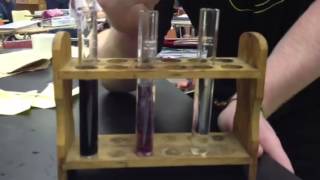 Ferric Chloride Test [upl. by Aiciled]