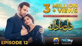 DileNadan Episode 12  Eng Sub  Mikaal Zulfiqar  Amar Khan  Ali Abbas  23rd September 2024 [upl. by Malim343]