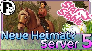 🔴 NEUE HEIMAT MASTERDOTTER AUF SERVER 5 GSICHTSCAM  Star Stable SSO  Lets Play DEUTSCH [upl. by Cohligan]