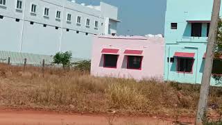 55 Cent DTCP North facing land Sale in Neelambur  800 Mtr from Avinash Road NH  Very low budget [upl. by Ebeneser]