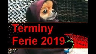 Ferie zimowe w 2019 terminy daty gdzie jechać ferie 2019 [upl. by Burney]